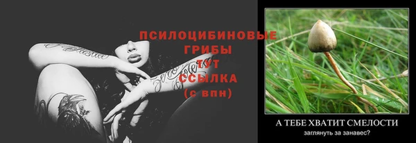 не бодяженный Арсеньев