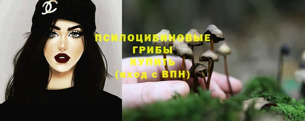 не бодяженный Арсеньев