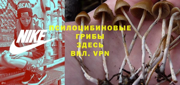 крисы Балахна
