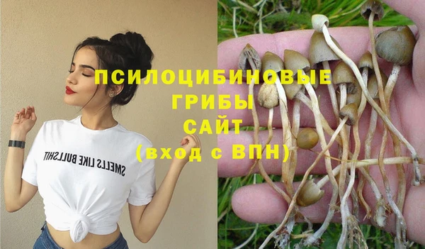 гашик Баксан